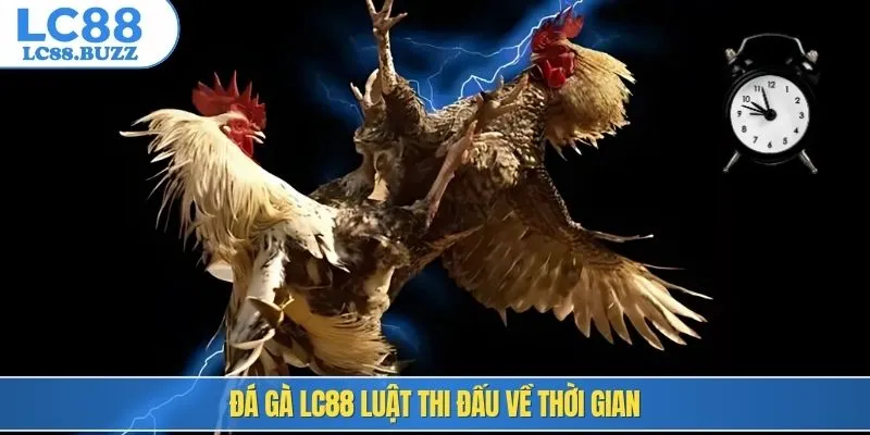 Đá gà LC88 luật thi đấu về thời gian